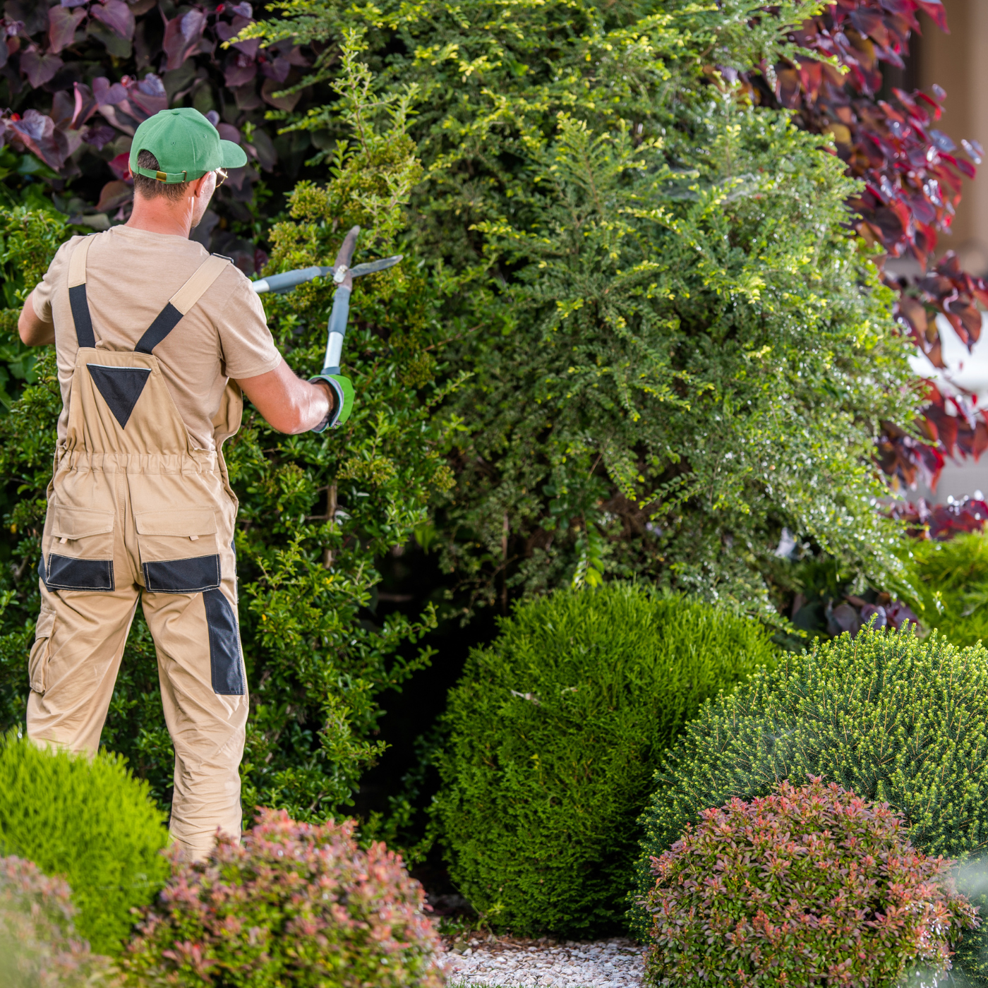 Landscaping Services