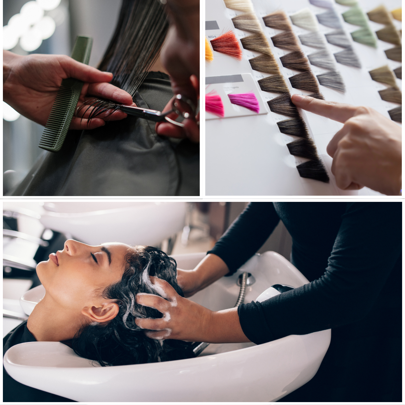 Color + Women’s Haircut + Shampoo