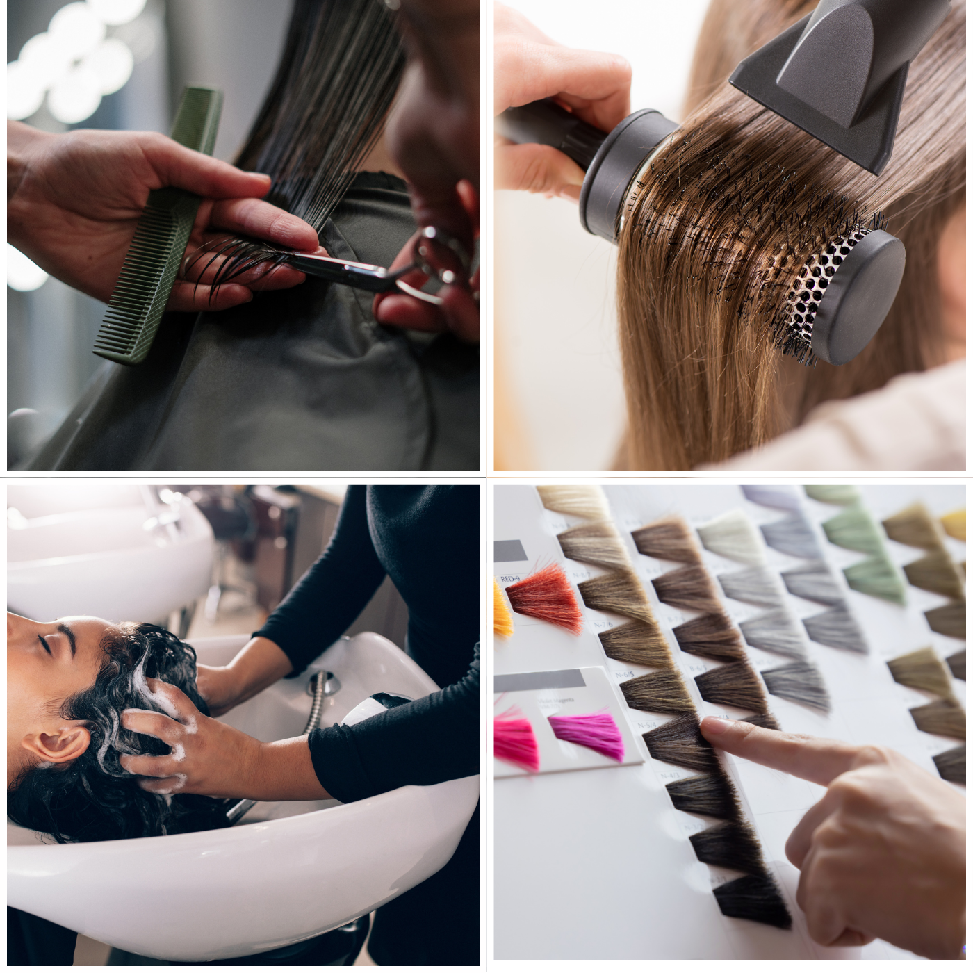 Color + Women’s Haircut + Long Blow-dry + Shampoo