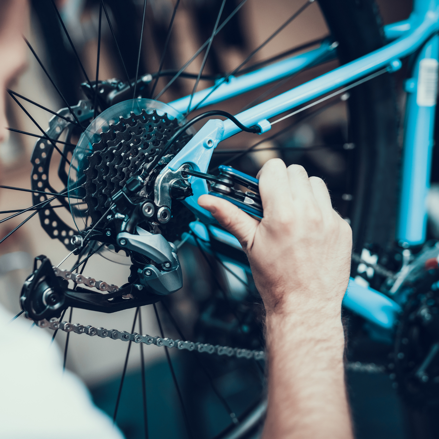 Bike Maintenance