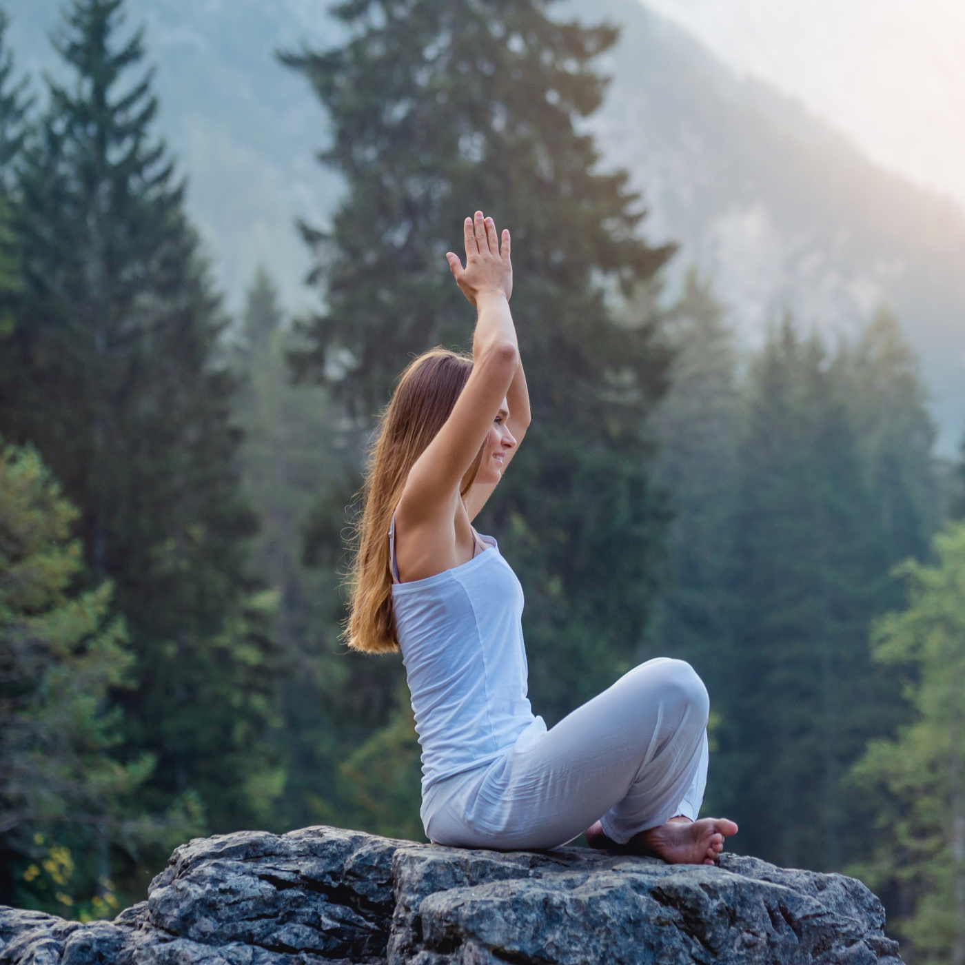 Wellness Activities